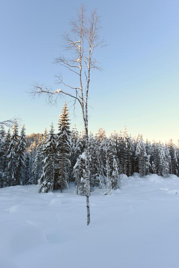 Fresh Familie Hytte Хемседал Экстерьер фото