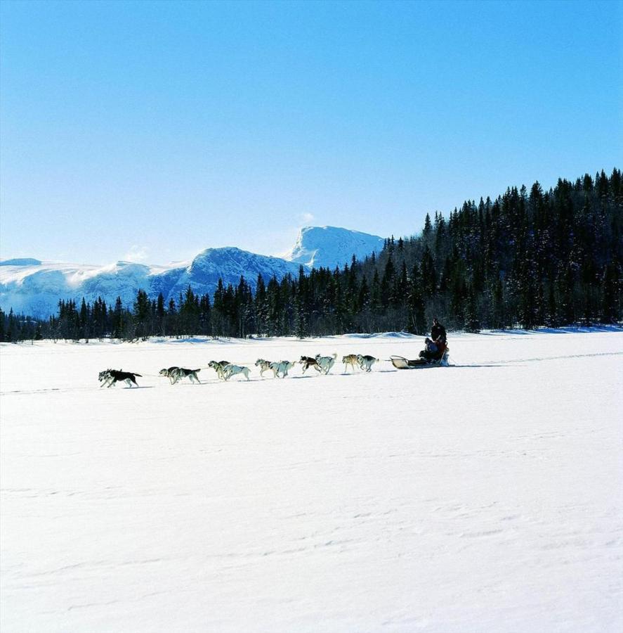 Fresh Familie Hytte Хемседал Экстерьер фото